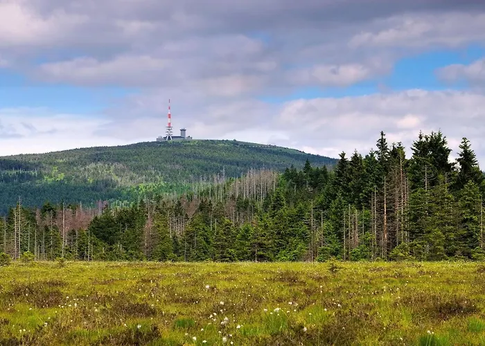 Haus Nietmann_ 2 公寓 阿尔特瑙